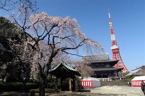 【東京賞櫻自由行】盤點13個東京賞櫻必去景點推薦 Saydigi 點子科技生活