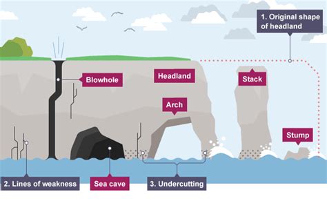 समदर भ आकतय अपरदनतमक और नकषपणतमक Marine Landforms