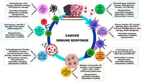 Pharmaceutics Free Full Text Recent Advances In Cancer