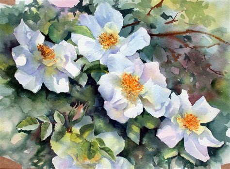 Das Artes As Aquarelas De Ann Mortimer S O Pura Luz Cor E Alegria