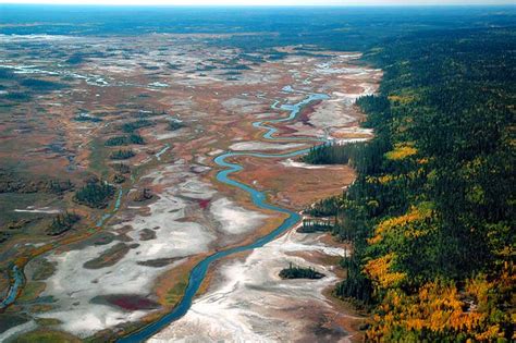 Salt Plains And Sky Preserves Of Wood Buffalo National Park Canadian