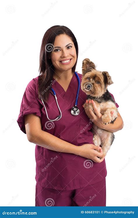 Veterinario De Sexo Femenino Imagen De Archivo Imagen De Concepto Salud 60683101