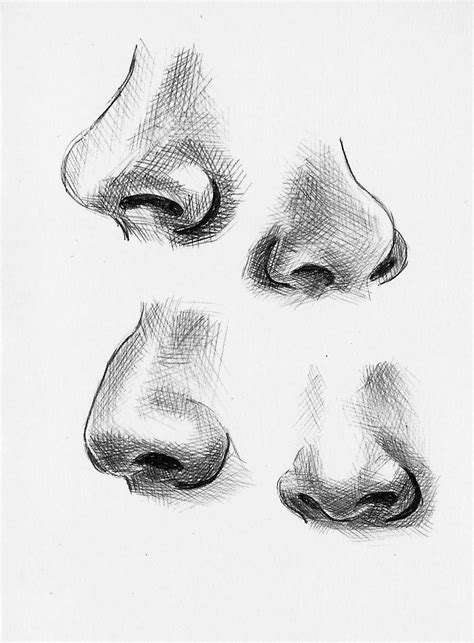 Nose Drawing Image Drawing Skill