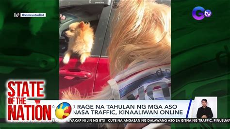 State Of The Nation Part Road Rage Ng Fur Babies Health