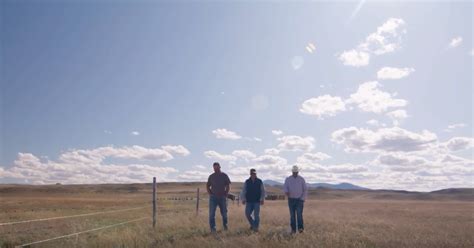 Gateway Livestock