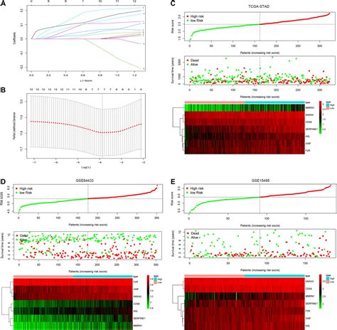 Frontiers Construction And Validation Of A Novel Coagulation Related