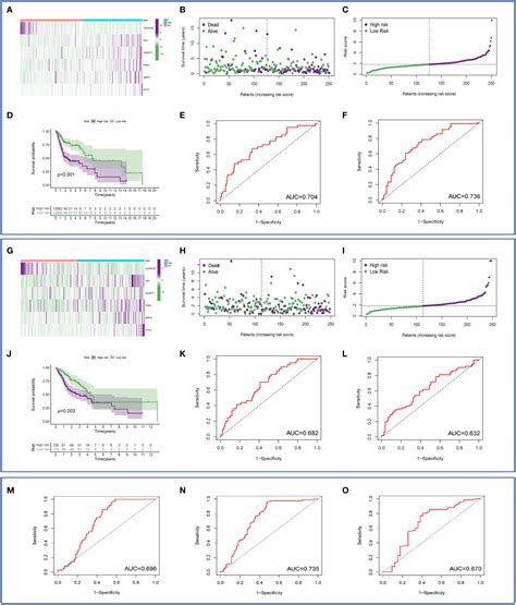 Frontiers Development And Validation Of A Novel Hypoxia Related