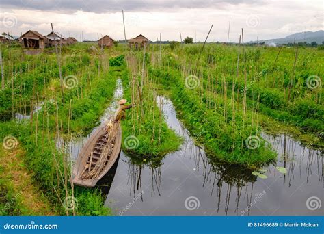 landscape view  floating gardens  inle lake   farmer