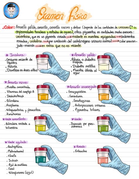 Examen Físico de Orina Jhan Carlos Ticlla Mori uDocz Practicas de