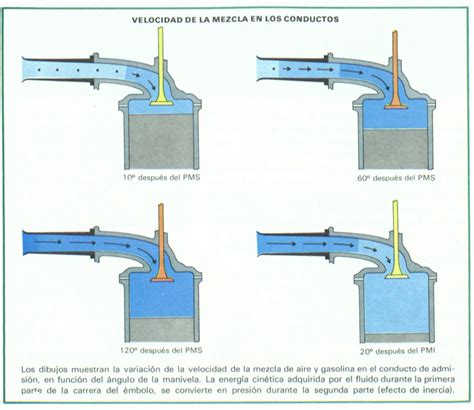 V Lvula De Escape Significado