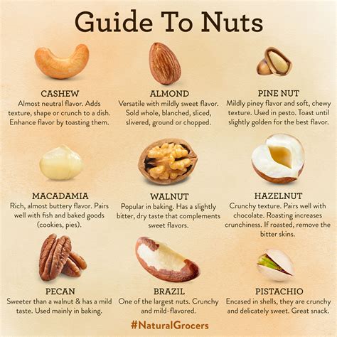 Guide to Nuts | Dry fruits benefits, Stuffed mushrooms, Pistachio benefits