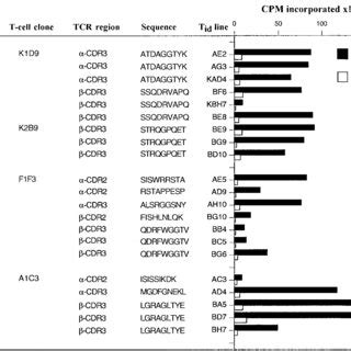 The Reactivity Of CDR3 Specific T Cell Lines Toward The Immunizing