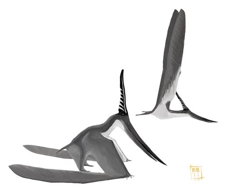 Matt Martyniuk Pteranodon Longiceps