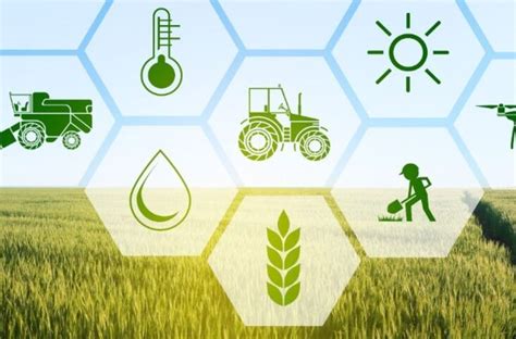 5 Tips for Efficient Agricultural Farm Management - Growing Magazine 