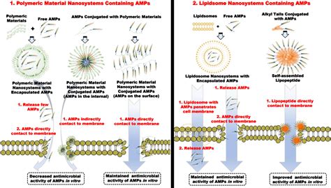 Frontiers Nanostructured Antimicrobial Peptides Crucial Steps Of