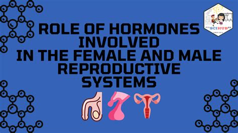 Biology Role Of Hormones In The Reproductive Systems Filipino