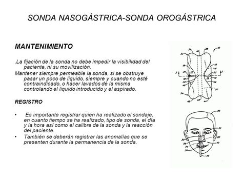 Fundamentos De Enfermeria Ppt Descargar