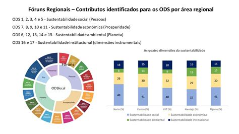 Bairros Saudáveis Projetos Monitorização e avaliação Avaliação