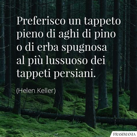 Frasi Sulla Bellezza Della Natura Con Immagini