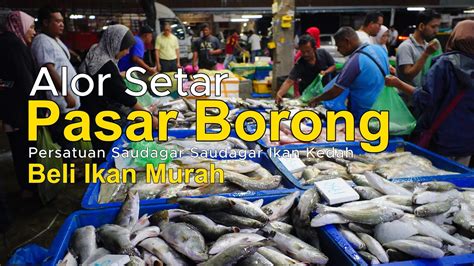 Pasar Borong Alor Setar Youtube