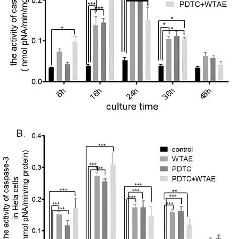 Activity Of Caspase In Hela And Bel Cells Both Cell Types Were