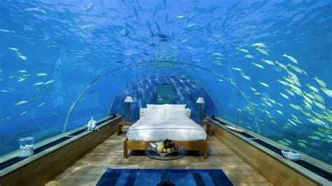 Conrad Maldives :The World's First Underwater Resort | Hadley Court