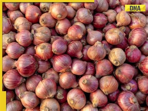 Centre Imposes Export Duty On Onion Effective From Today