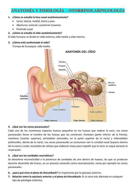 Resumen De Otorrino Medicquests UDocz