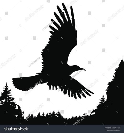 Bird Vector Silhouette Black White Stock Vector (Royalty Free ...