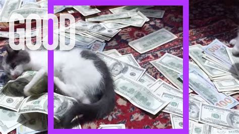 Fuck Yeah Humanity EPISODE 10 GOOD YouTube