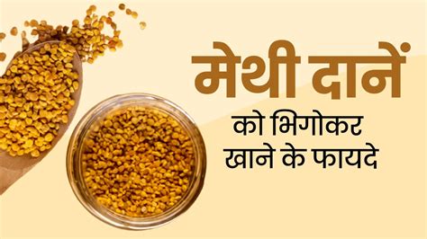 मेथी दाने को भिगोकर खाने से शरीर को मिलते हैं ये 5 फायदे जानें तरीका Soaked Fenugreek Seeds