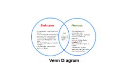 Endocytosis Vs Exocytosis Venn Diagram