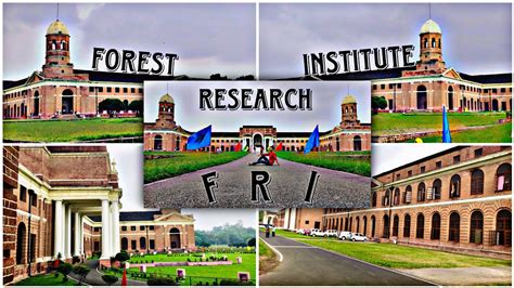 Forest 🌳 Research 🧐 Institute 💫 Dehradun Fri Dehradun Full View Fri