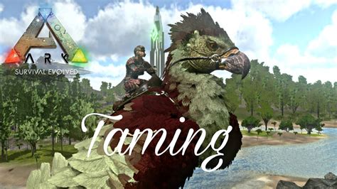 Argentavis Taming With Stego Kibble Ark Taming Youtube