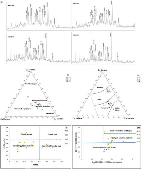 A Saturated Mass Fragmentogram Of Steranes Mz 217 For Investigated Download Scientific