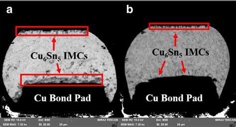 Sem Images Of A Single Solder Joint Processed Via A Reflow Bonding