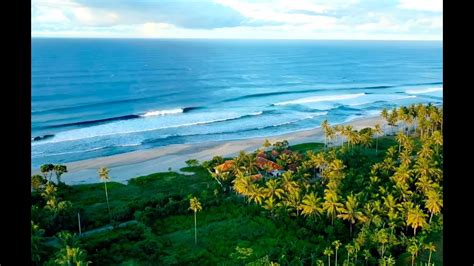 Perfect Left Barrels The Mandiri Beach Club Surfing Krui Sumatra