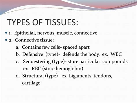 PPT - TYPES OF TISSUES PowerPoint Presentation, free download - ID:146457