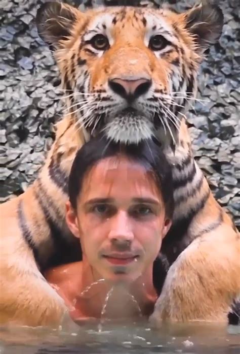 450 Cats Big Cats Ideas Big Cats Cats Wild Cats