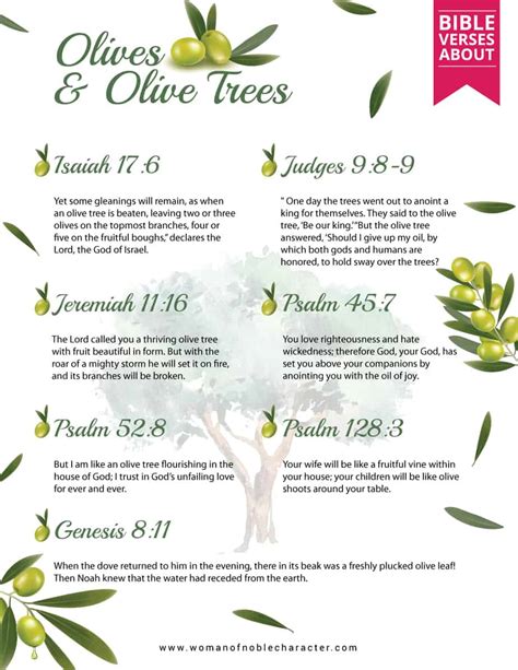 A Fascinating Study Of Olives In The Bible Plus Olive Trees Olive Oil