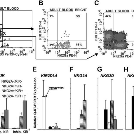 Nk Cell Subsets Differentially Express Surface Antigens Pbmcs Were