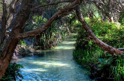 19 Incredible Natural Springs In Florida