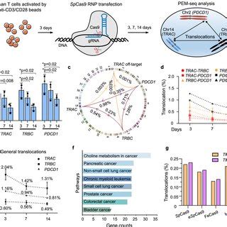 Elimination Of Chromosomal Translocations By Cas9TX In CAR T Cells A