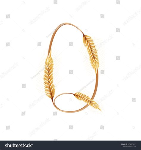 Font Q Paddy Rice Malt Barley Wheat Design Royalty Free Stock