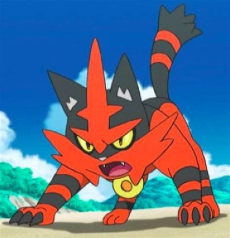 Torracat the Fire Cat Pokemon by WillDinoMaster55 on DeviantArt