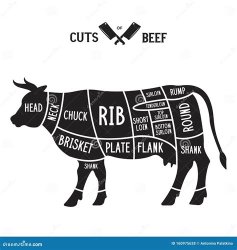 Cuts Of Beef Scheme With Cow. Meat Cuts Poster For Butcher Shop. Vector ...