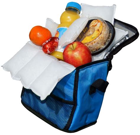 Nice Packs Dry Ice for Coolers – Lunch Box Ice Packs – Dry Ice for ...