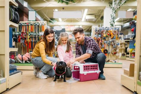 Marketing para Pet Shop 20 Ações Para Você Aplicar no Seu Negócio