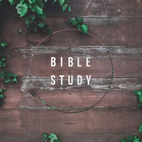 Bible Study - Sunday Social