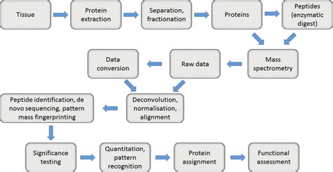 Flowchart And Procedures For A Generic Proteomics Pipeline Download